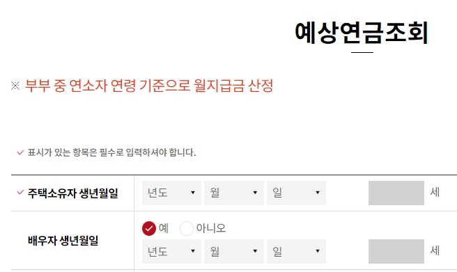 사용자의 생년월일과 배우자 정보를 입력하는 조회 페이지