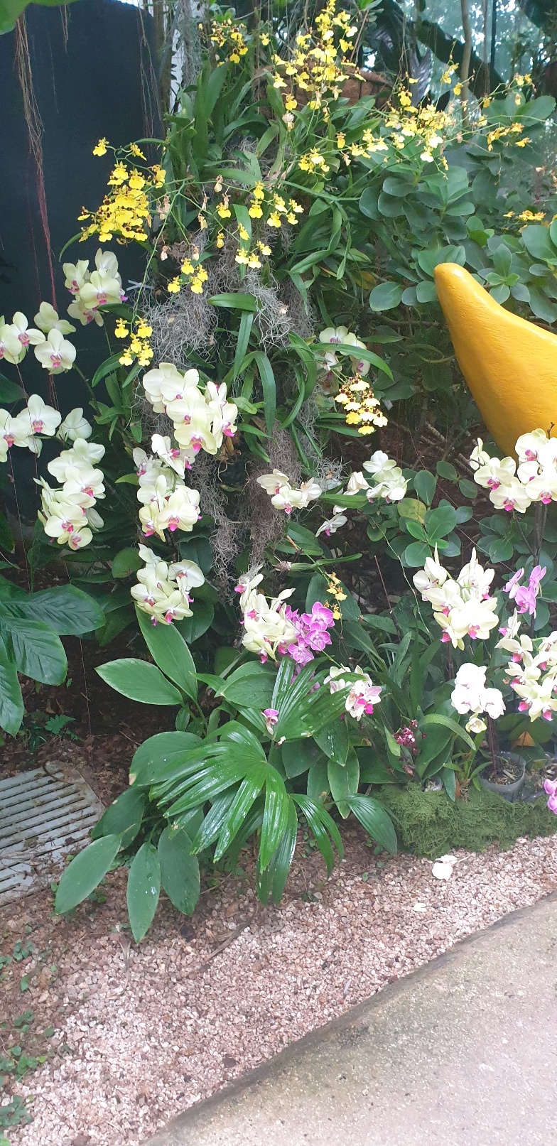 2026 사유원 매화축제 예약방법 총정리