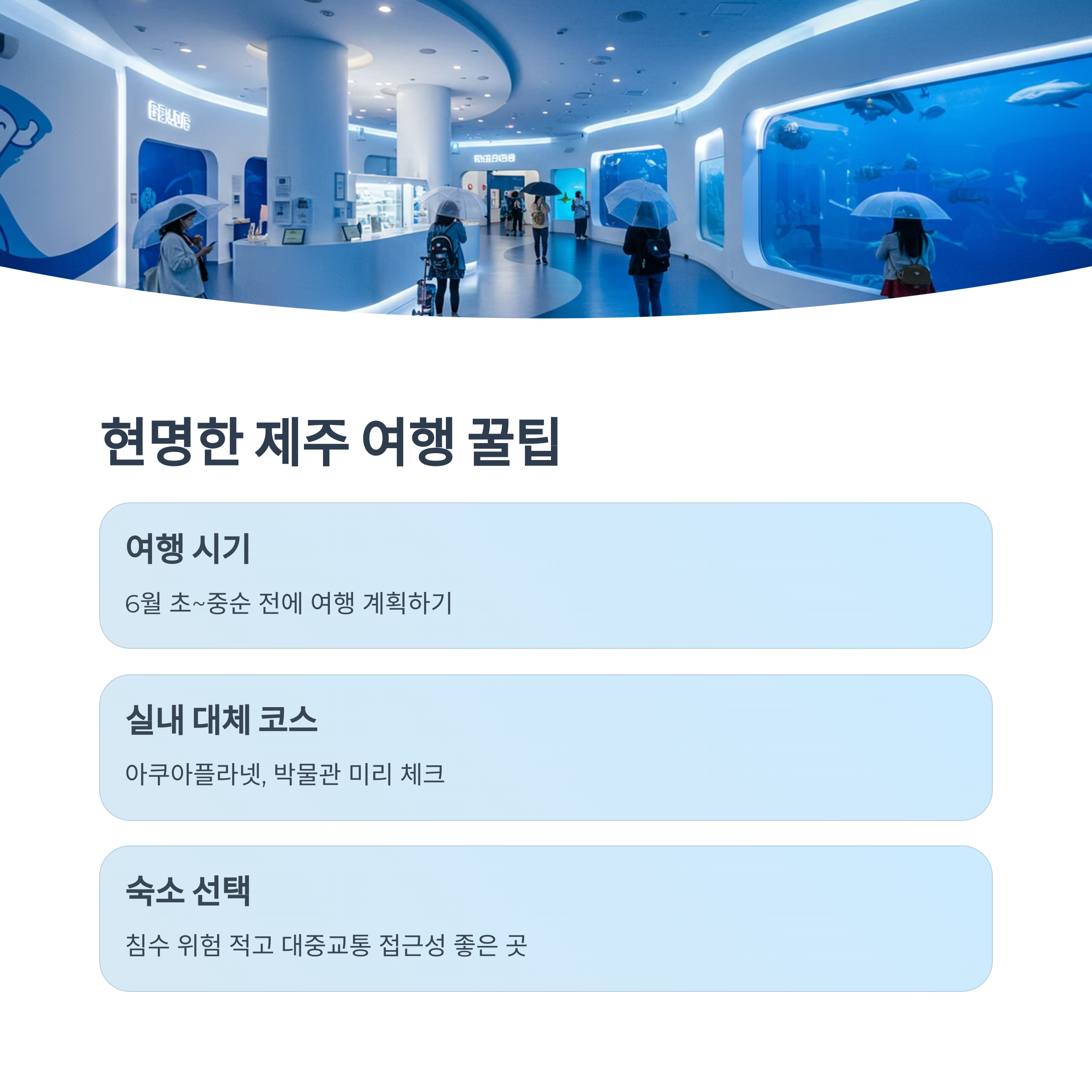 장마철 제주도 여행 꿀팁