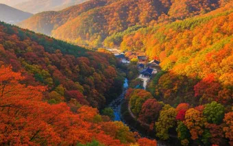 &amp;quot;내장산
