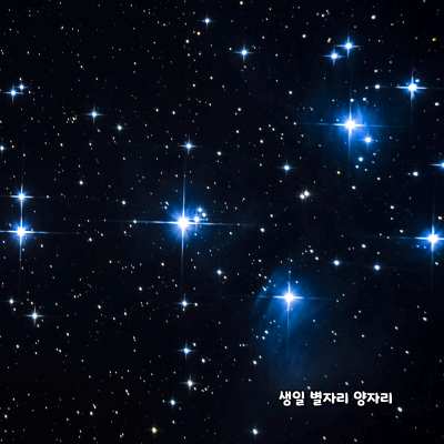 생일 별자리로 알아보는 성격 - 양자리