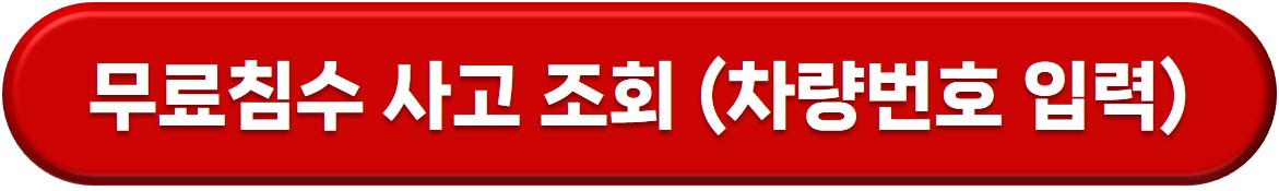침수차 구별법