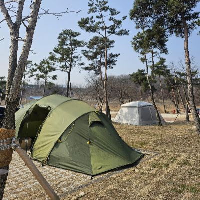 목계솔밭_캠핑장_소형사이트