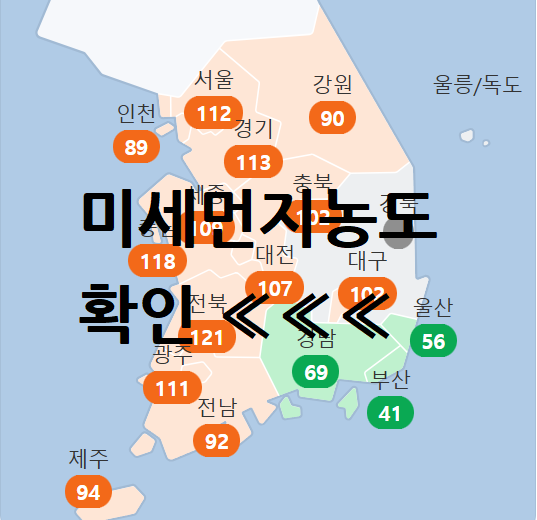 미세먼지 농도 예보 건강 영향 및 대비책