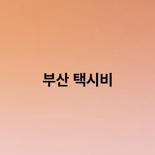 부산 택시비
