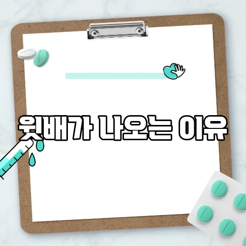 윗배가 나오는 이유