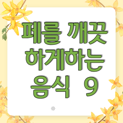 페를 개끗하게 하는 음식