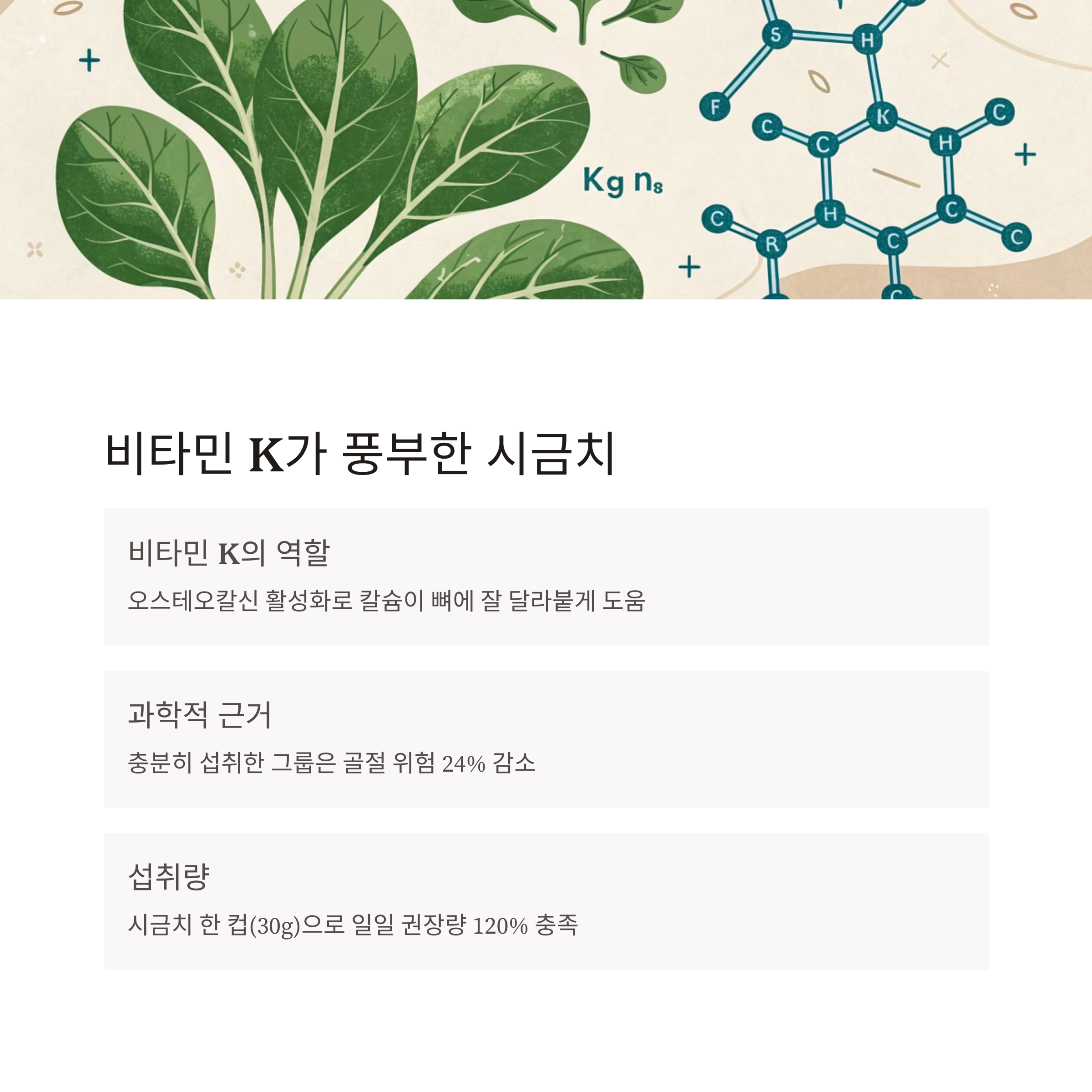 시금치 주요 영양성분