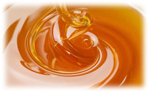 단순 탄수화물 꿀