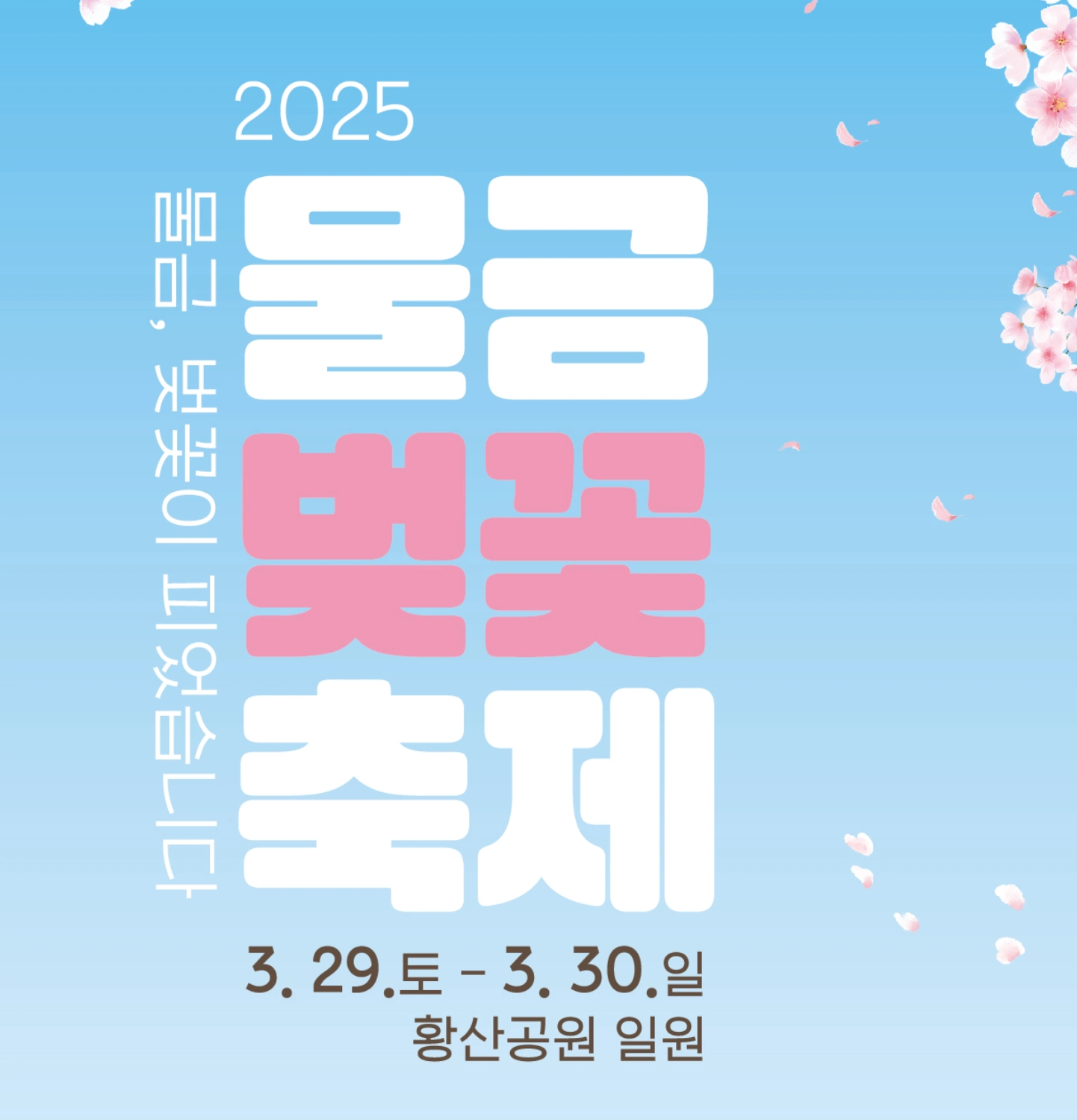 양산 물금 벚꽃축제