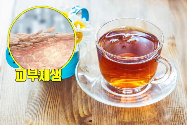 건성피부 좋은 음식 카모마일차