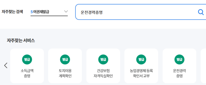 운전경력증명-검색