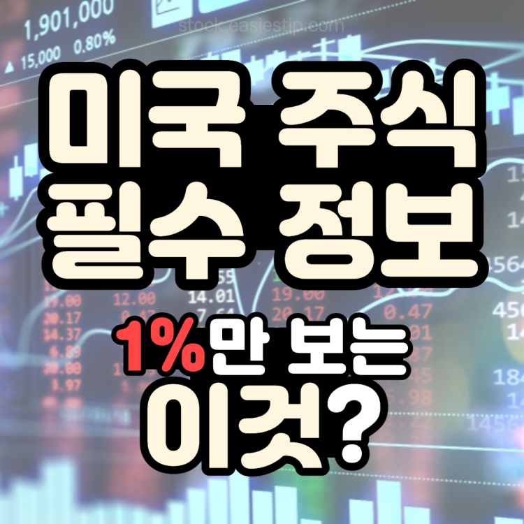 미국 주식 정보