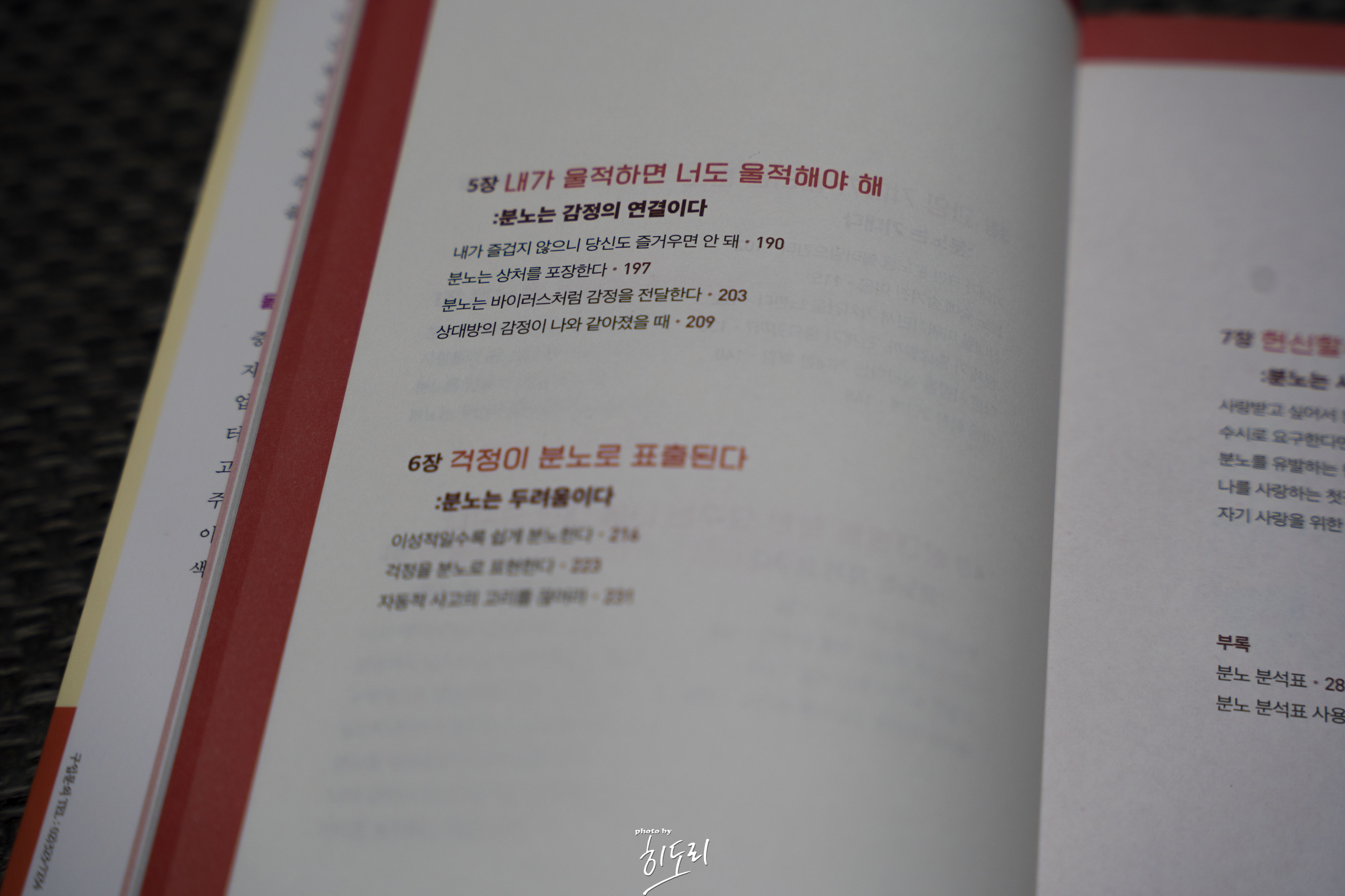 심리학이 분노에 답하다6