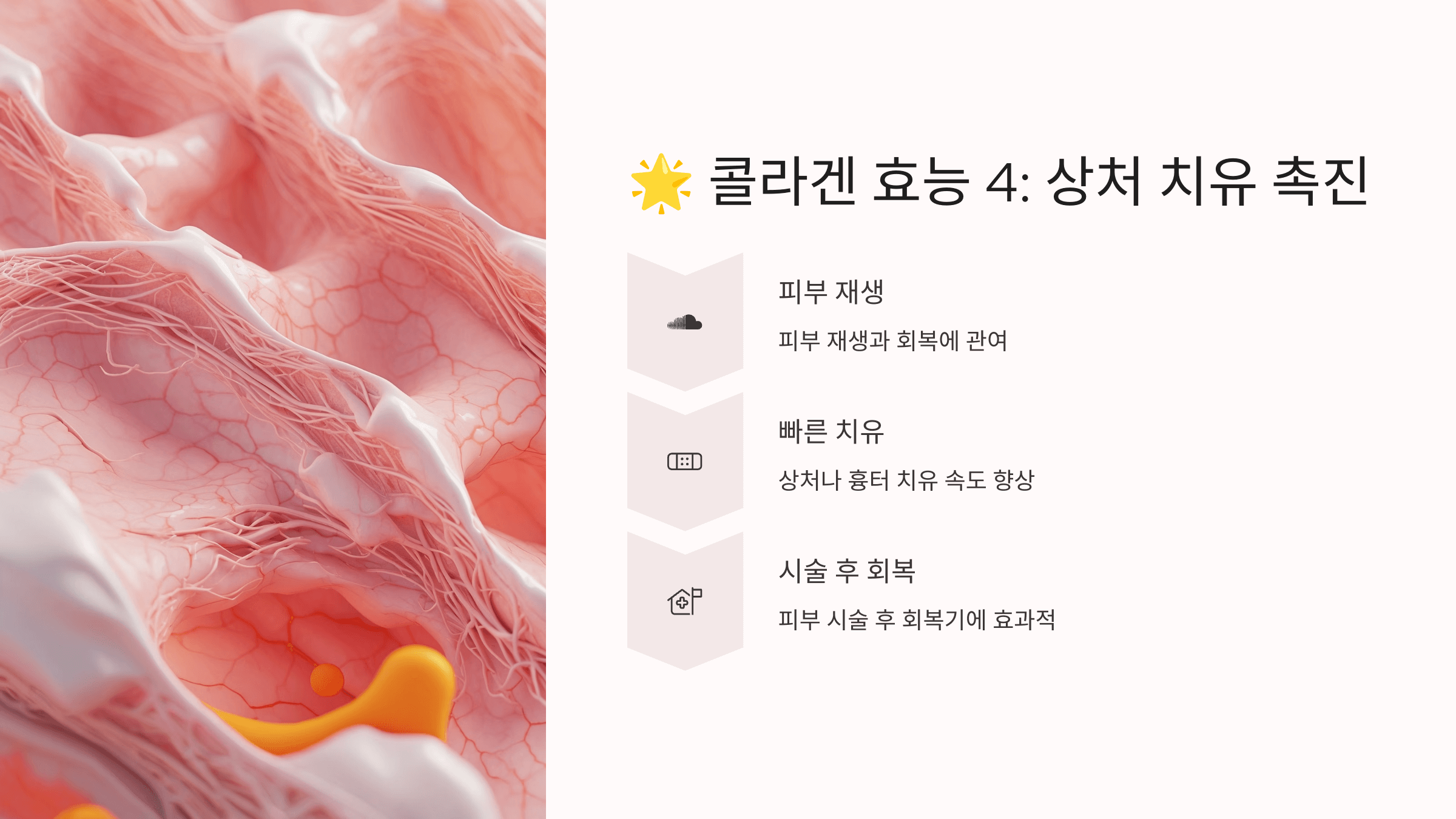 콜라겐과 관련된 사진입니다.
