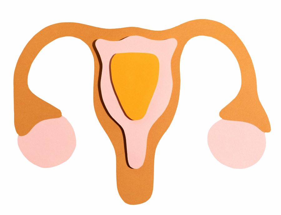 여성의 자궁과 난소의 외형적인 이미지와 내부의 구조를 이미지화 하여 그린 그림
