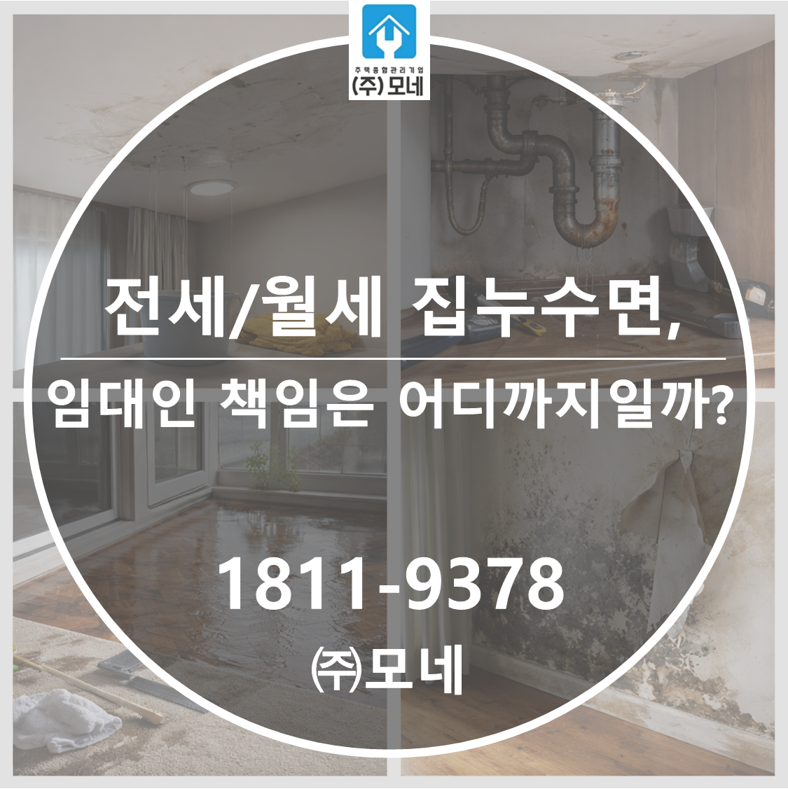 전세/월세 집 누수면 임대인 책임은 어디까지일까?