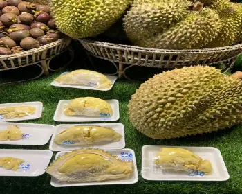 팽봉팽봉 촬영지&#44; 태국 코사무이 여행_15