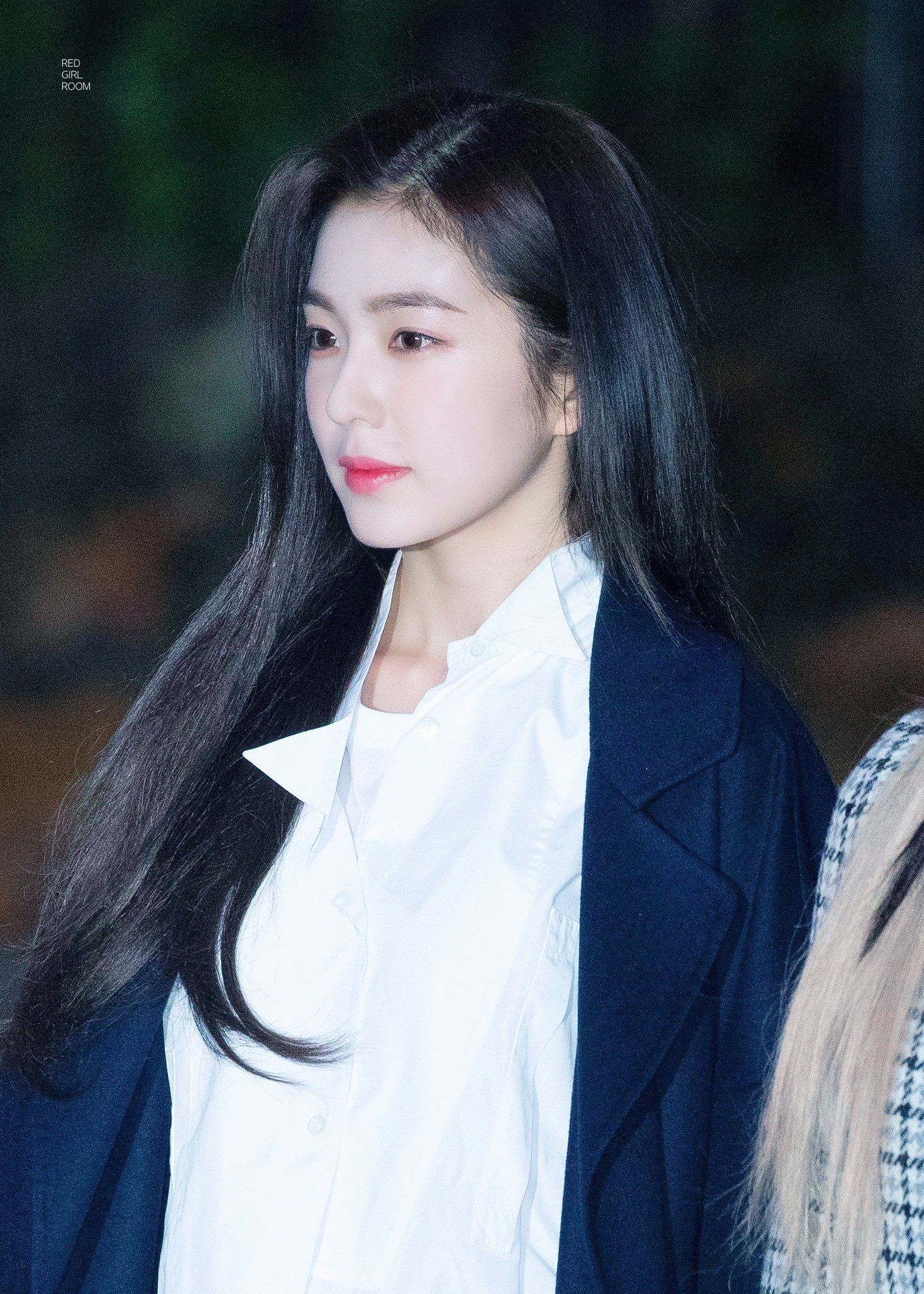레드벨벳 레벨이 아이린