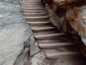 스텝퍼 운동 효과