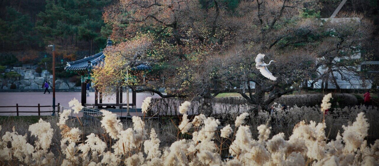 보라매공원 놀이터의 다양한 시설들