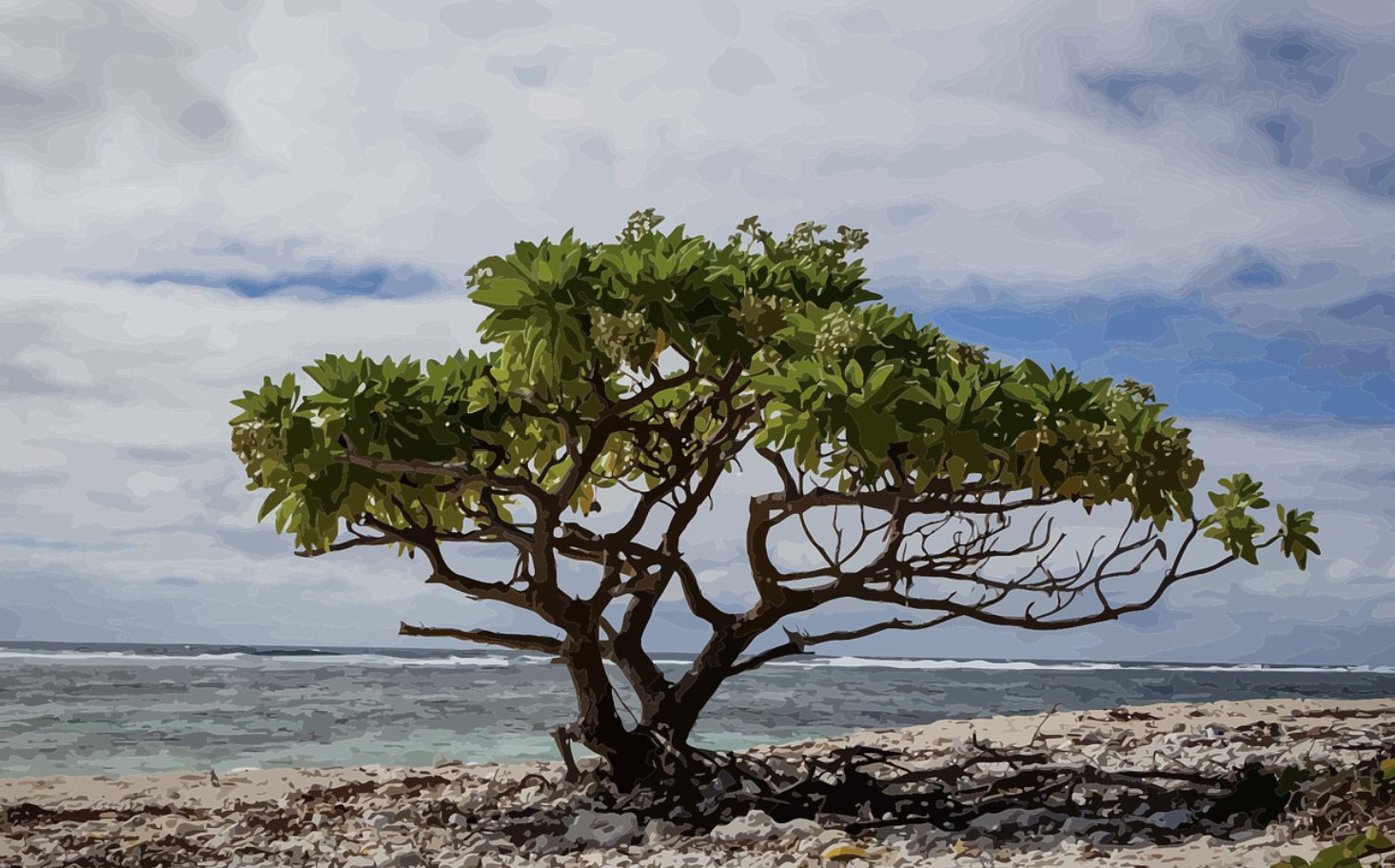 맹그로브와 해초 숲: 자연 기반 플라스틱 오염 완화 시스템의 과학적 분석