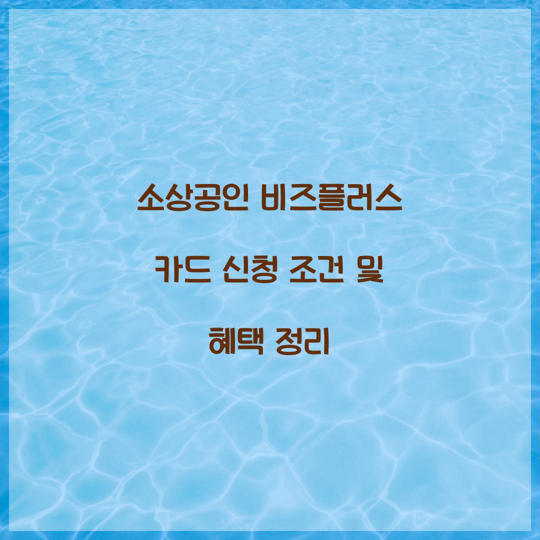 소상공인 비즈플러스 카드