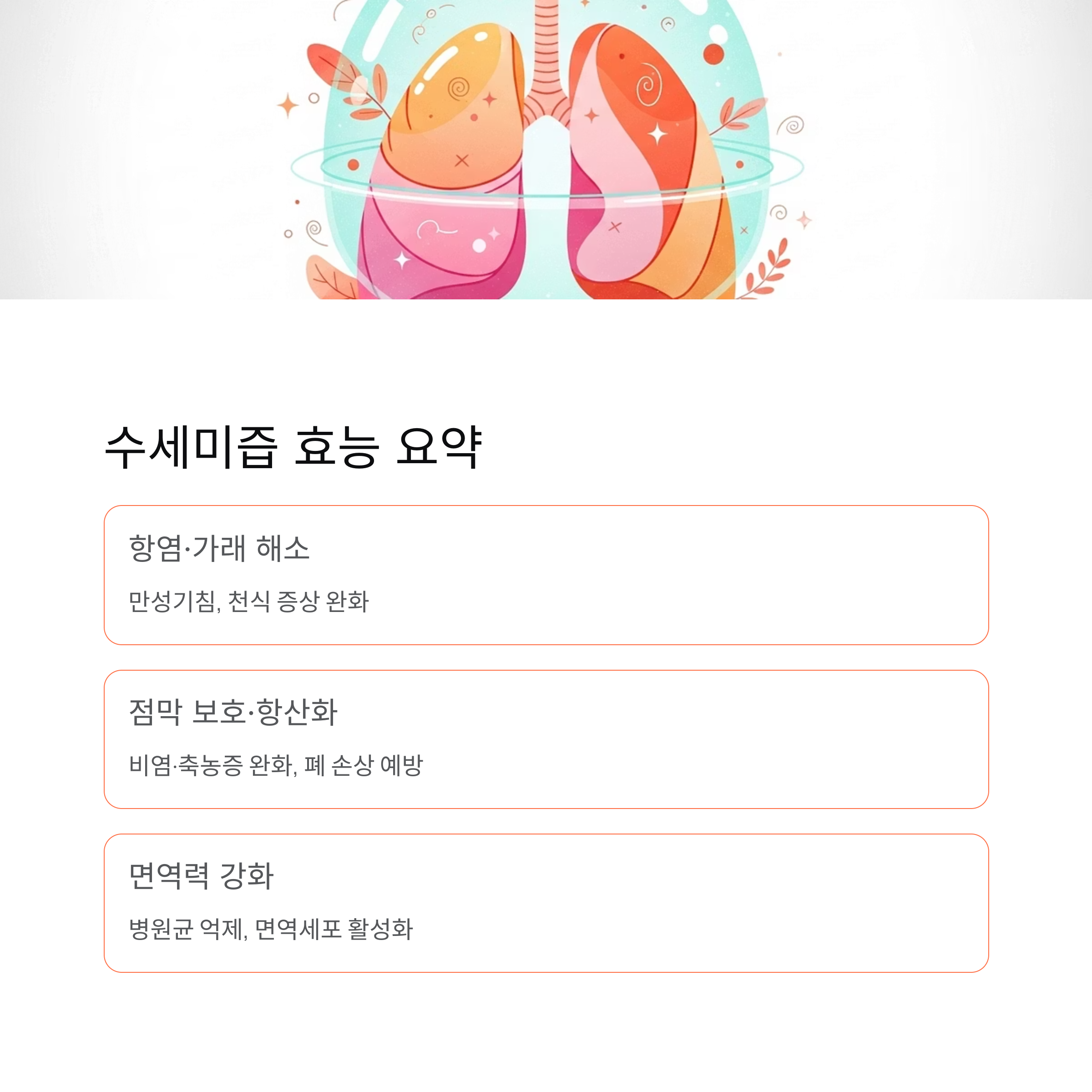 수세미즙 효능 요약