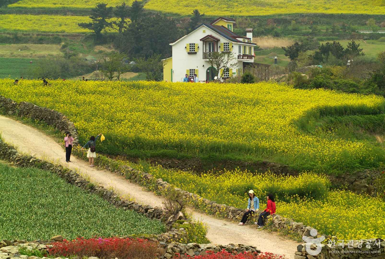 완도 청산도 배편