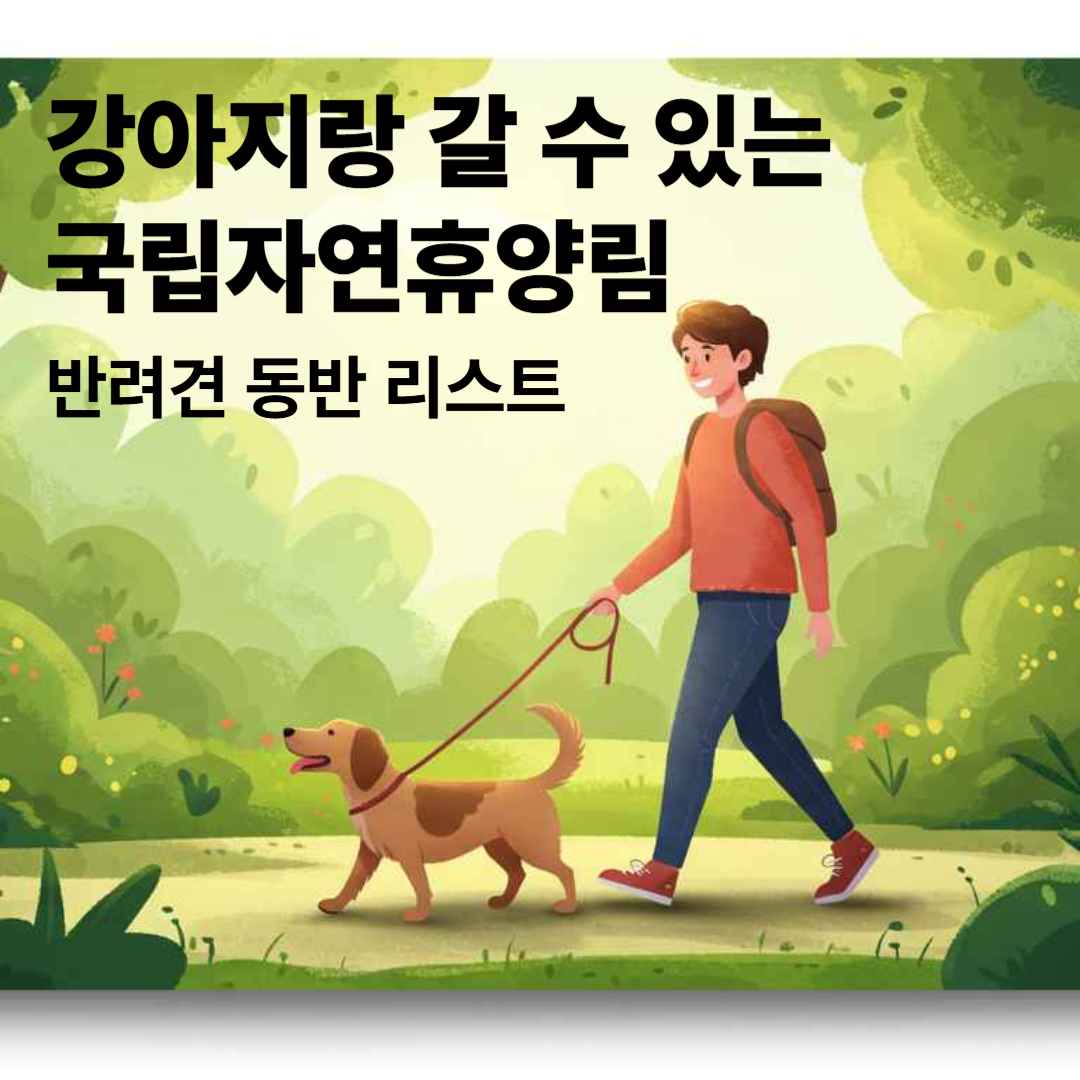 강아지랑 갈 수 있는 국립자연휴양림, 여기 다 있어요! (반려견 동반 리스트)
