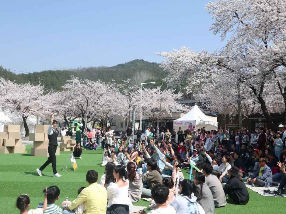 제천 청풍호 벚꽃축제 일정 프로그램