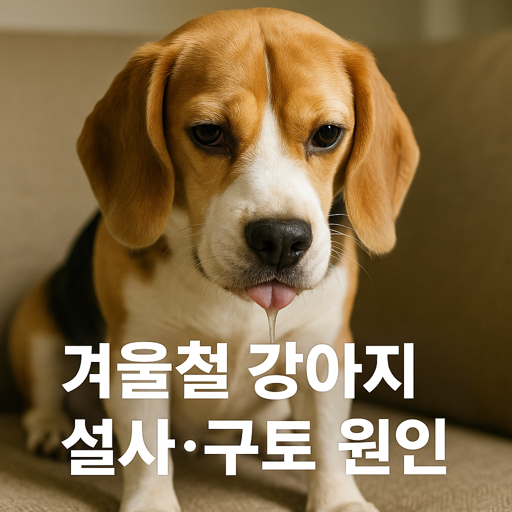 겨울철 강아지 구토 설사 주요원인 실사느낌의 이미지