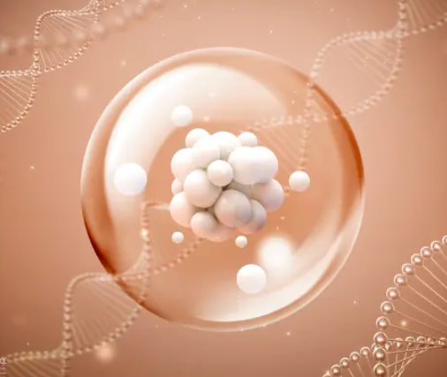 활성산소로 인한 세포 손상은 다양한 만성질환의 원인이 됩니다