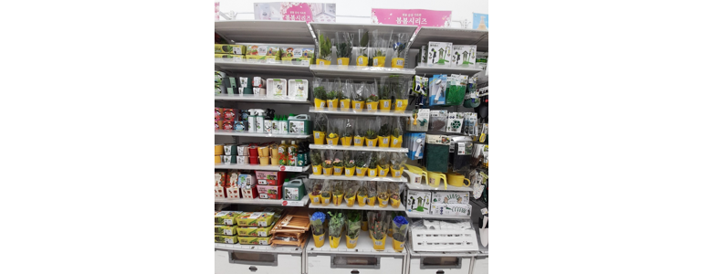 광주 북구 종합생활용품 다이소