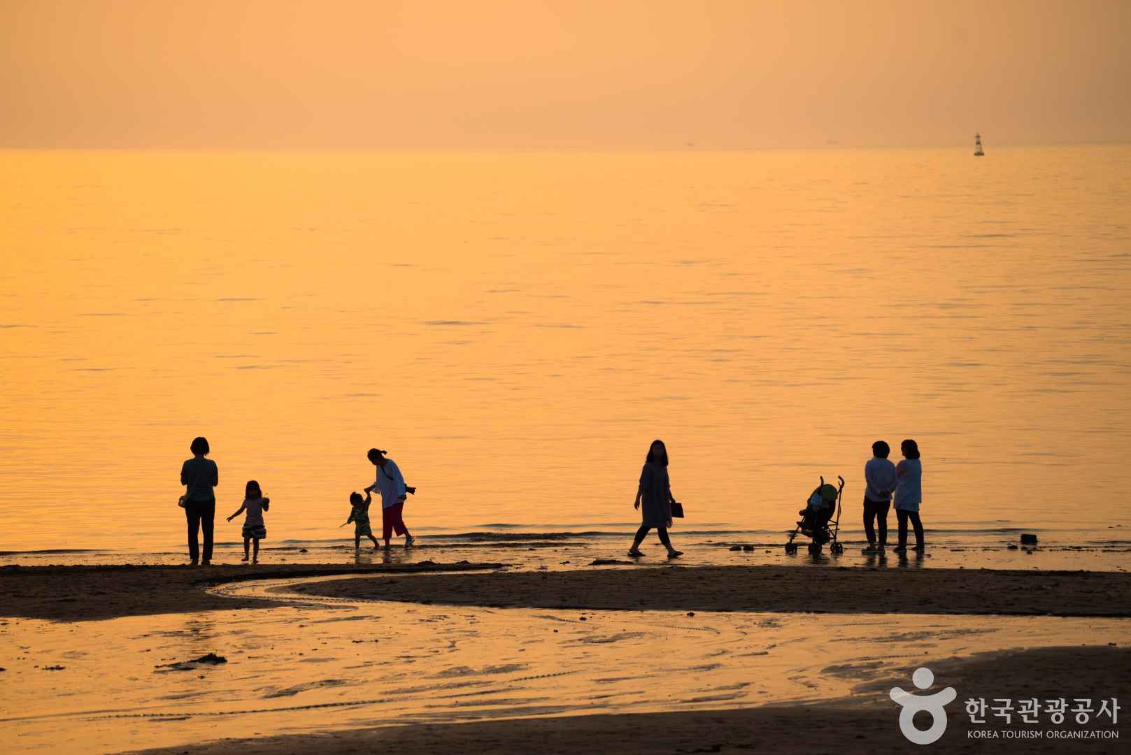 제주 이호테우해변