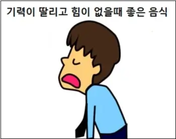 기력이 딸리고 힘이 없을때 좋은 음식