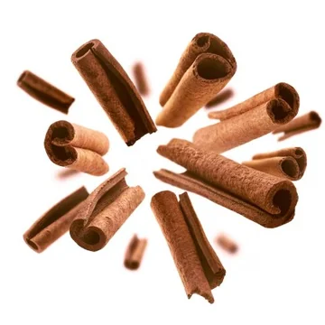 계피의 기본적인 특징과 활용 개요16