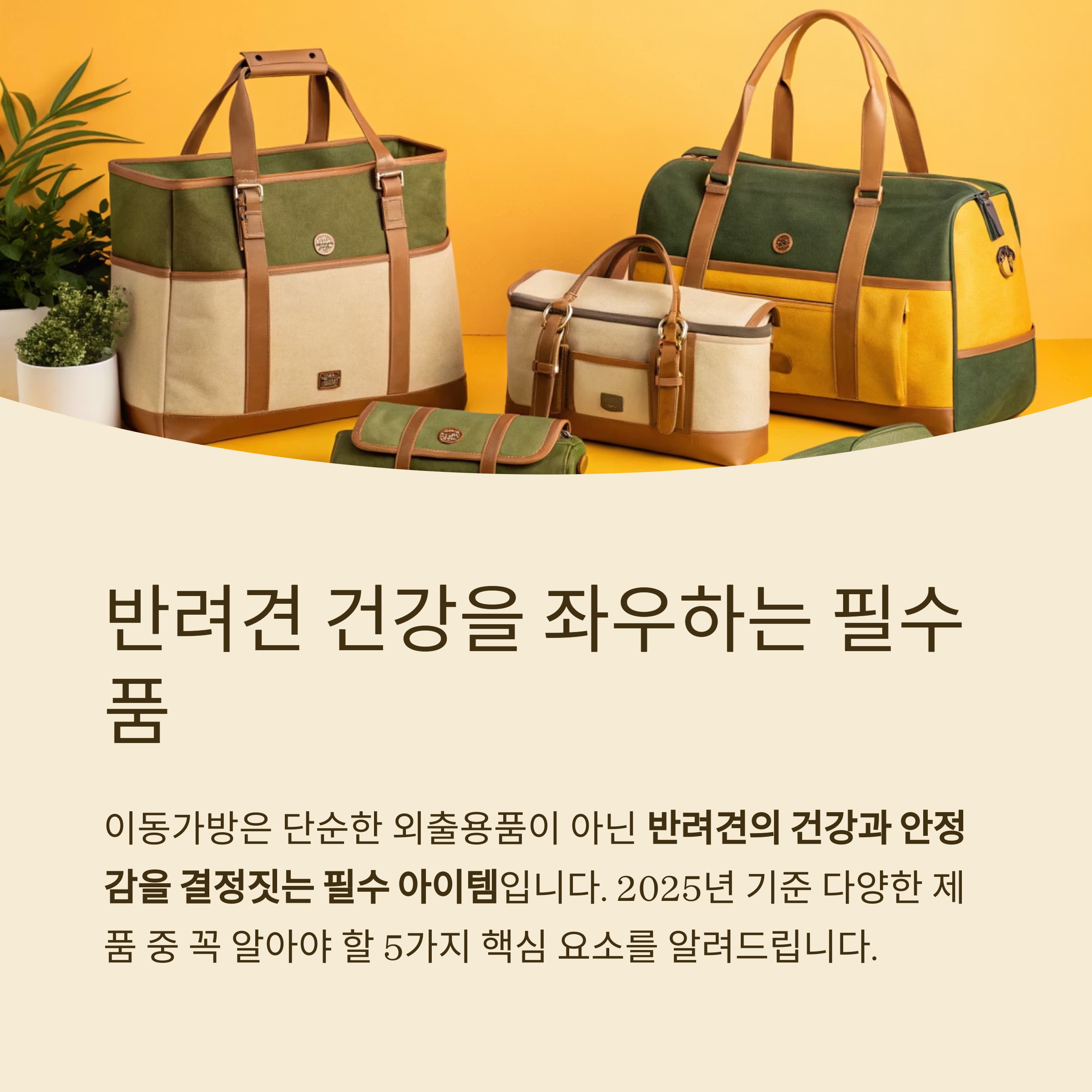 반려견 건강을 좌우하는 필수품