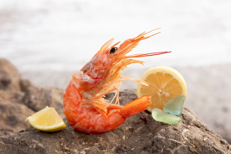 아연 많은 음식