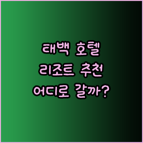 강원도 태백 호텔 리조트 총정리..