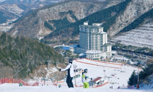 1월 경기도 가볼만한곳 추천 ❘ 국내 겨울 여행지 ❘ 데이트 여행 가족 실내 당일치기
