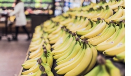 바나나 보관방법