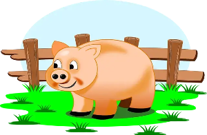 돼지띠 2025년 운세