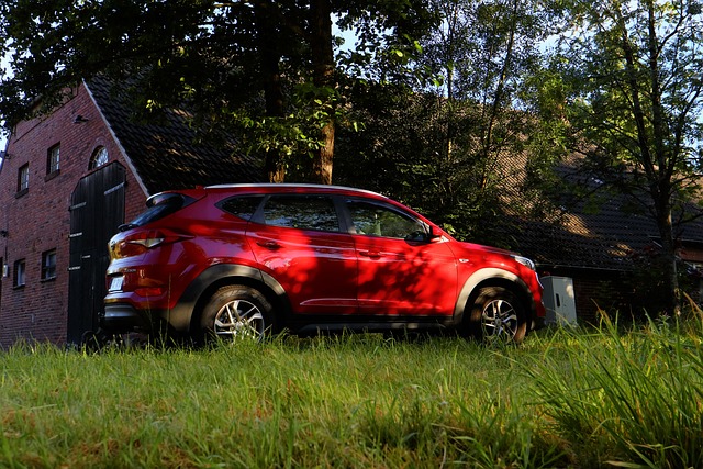 운전면허증 재발급 신청방법