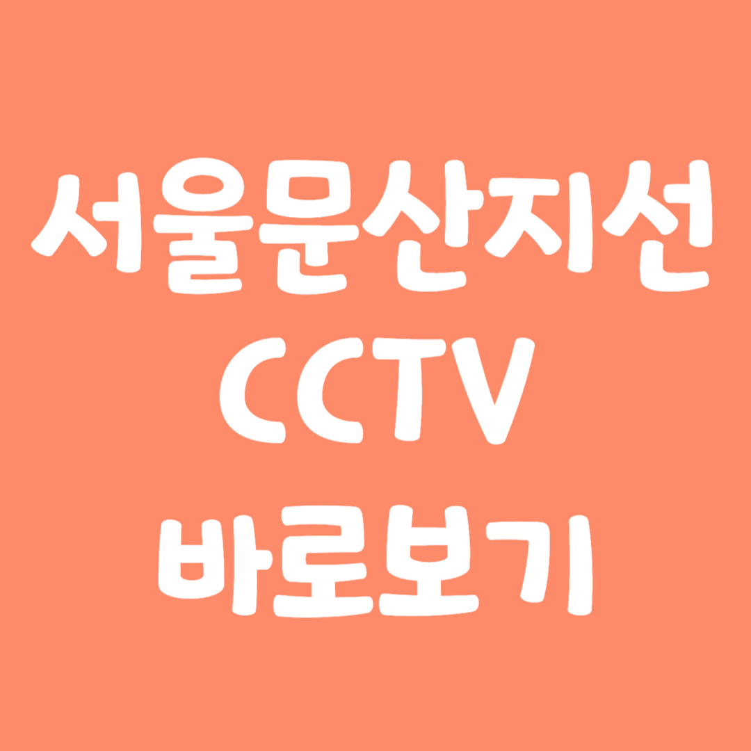 실시간 서울문산지선 CCTV 바로보기