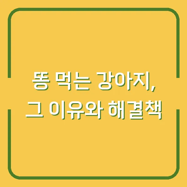 똥 먹는 강아지, 그 이유와 해결책
