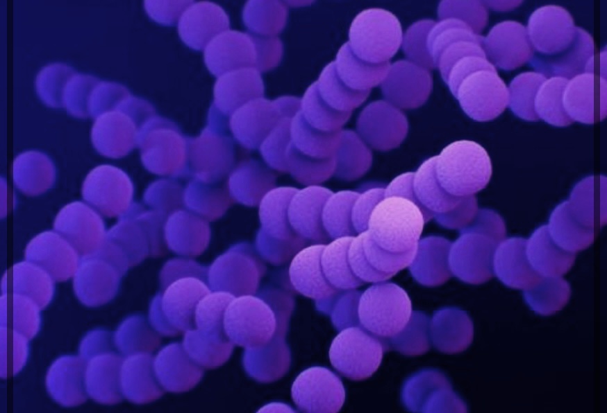 성인 농가진: 원인, 증상, 및 치료 방법