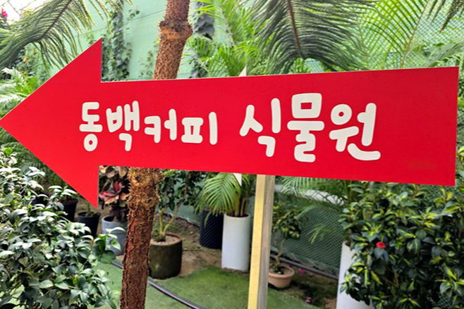 특색있고 아름다운 민간 정원 30선 추천 여행 - 25. 통영 동백커피식물원