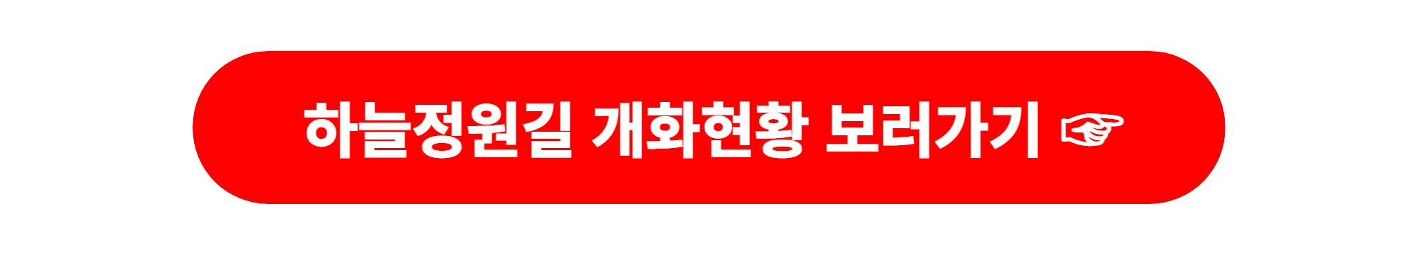 에버랜드 매화꽃 하늘정원길 개화현황