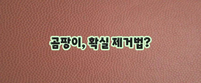 벽지 곰팡이 제거 안전하고 효과적인 방법 확실하게 알아봐요!